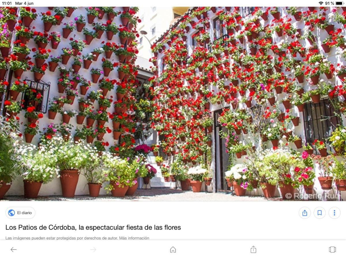 Vft Flor De Naranjo Apartment Cordoba Ngoại thất bức ảnh